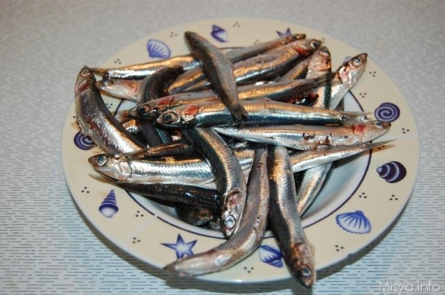 le alici