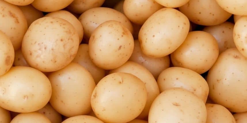 Patate Novelle