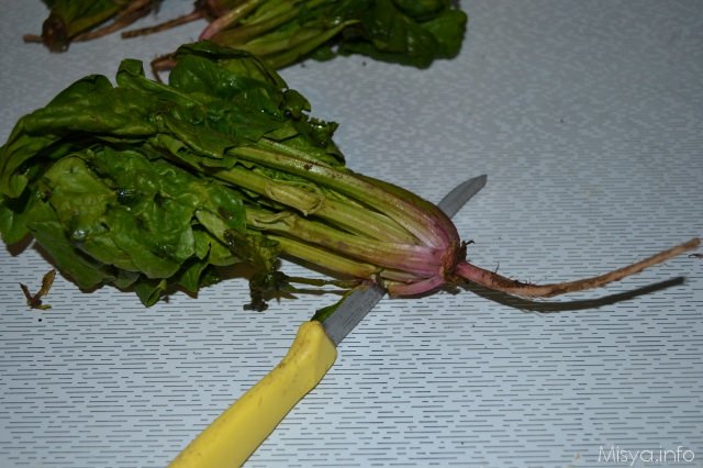 spinaci