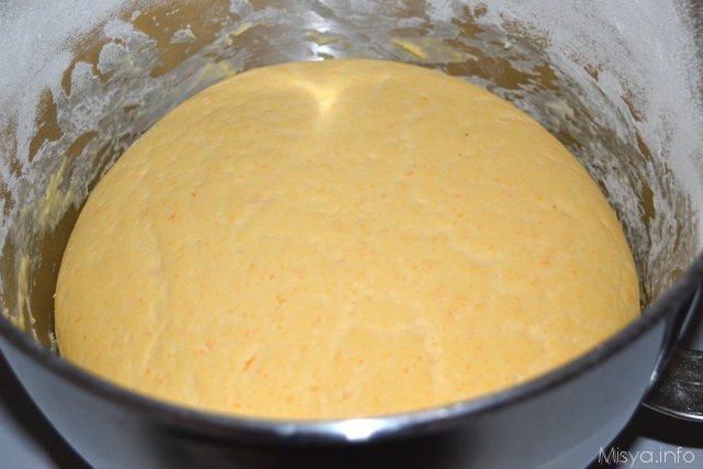 6 panetto zucca cresciuto
