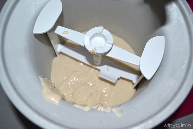 gelato al plasmon 6