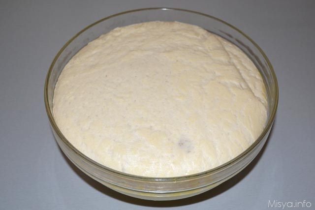 Pane ciabatta 9