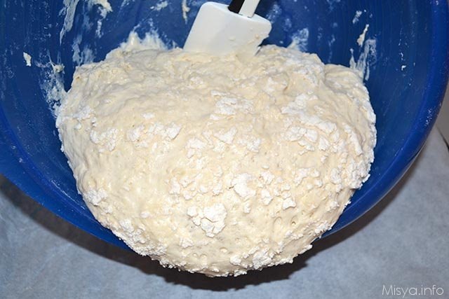 pane veloce 9