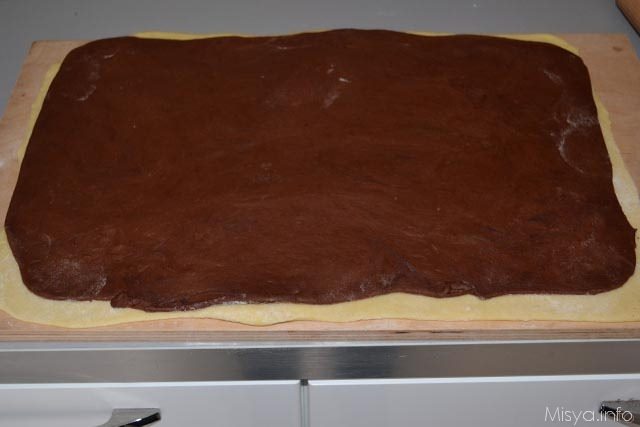 treccia bicolore 11