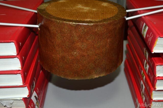 panettone con il lievito madre 41