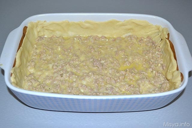 pizza di carne 13
