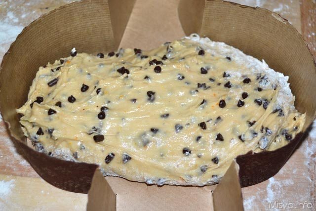 colomba al cioccolato 36