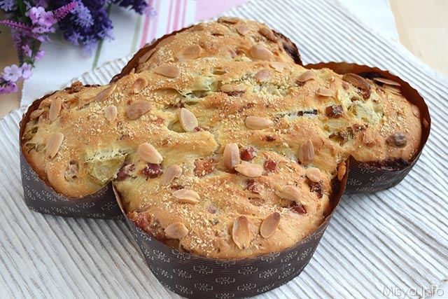 Colomba salata