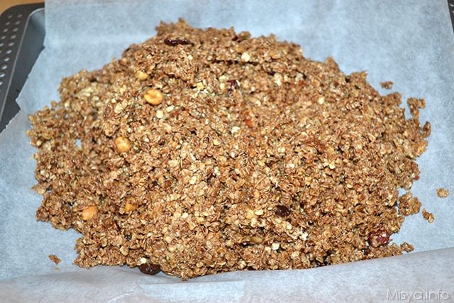flapjack 8