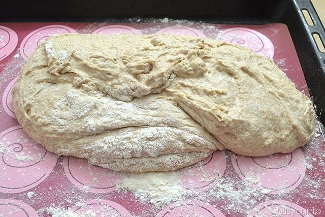 pane veloce integrale 9