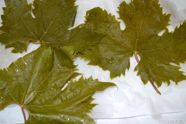 Dolmades 7
