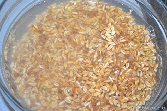 Insalata di farro con gamberetti 1