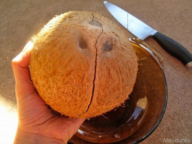 aprire cocco