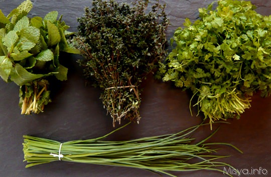 erbe aromatiche