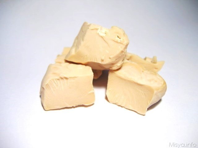 lievito di birra