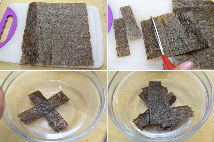 alga nori