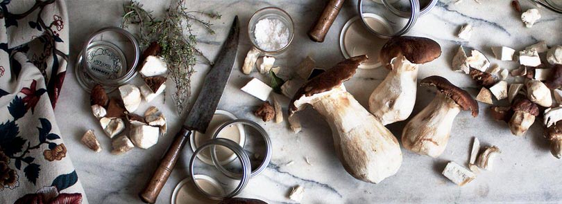 Come pulire i funghi porcini
