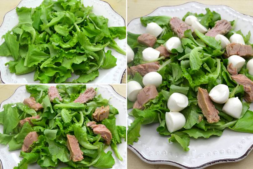 2 tonno mozzarella insalata