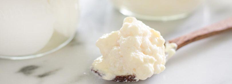 Come fare il kefir
