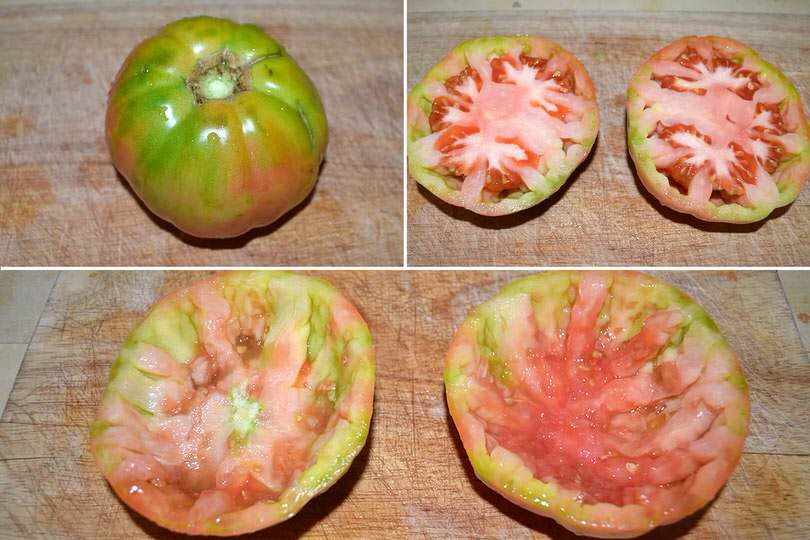 1 svuotare pomodori