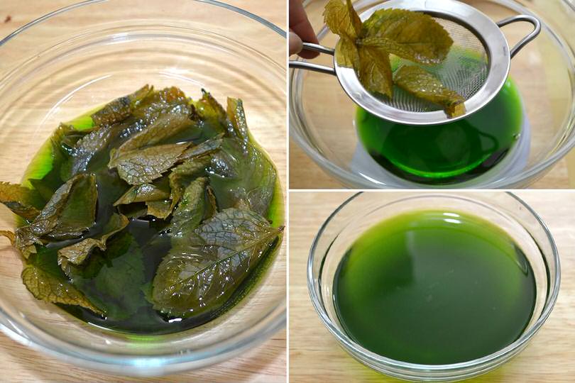 3 filtrare menta