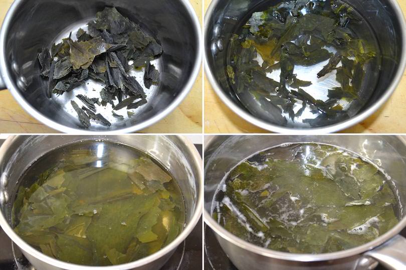 1 alga kombu